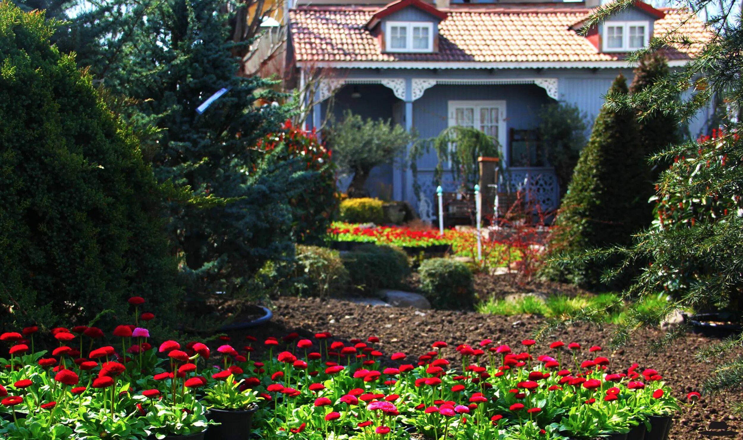 Gardenia shevardnadze тбилиси квартал лоткини фото Что посмотреть в Грузии, кроме Тбилиси: Батуми, Сигнахи, Боржоми и другие места