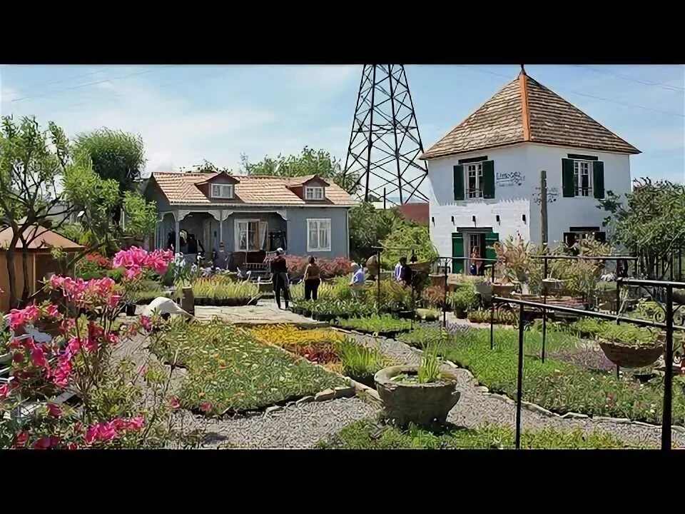 Gardenia shevardnadze тбилиси квартал лоткини фото გარდენია შევარდნაძე / Gardenia Shevardnadze - YouTube