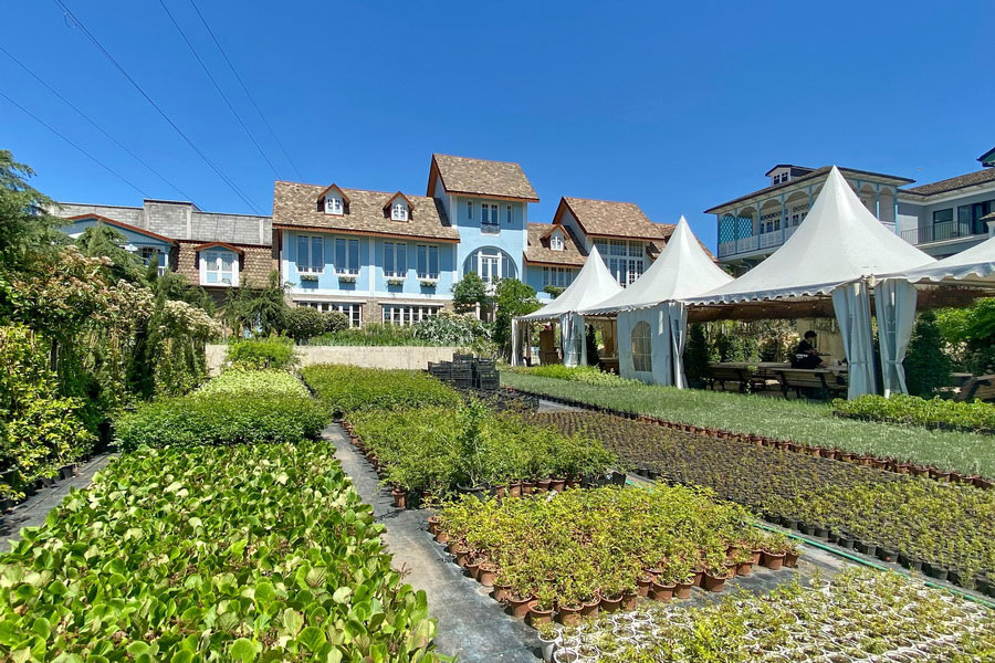 Gardenia shevardnadze тбилиси квартал лоткини фото Гардения Шеварднадзе, Тбилиси