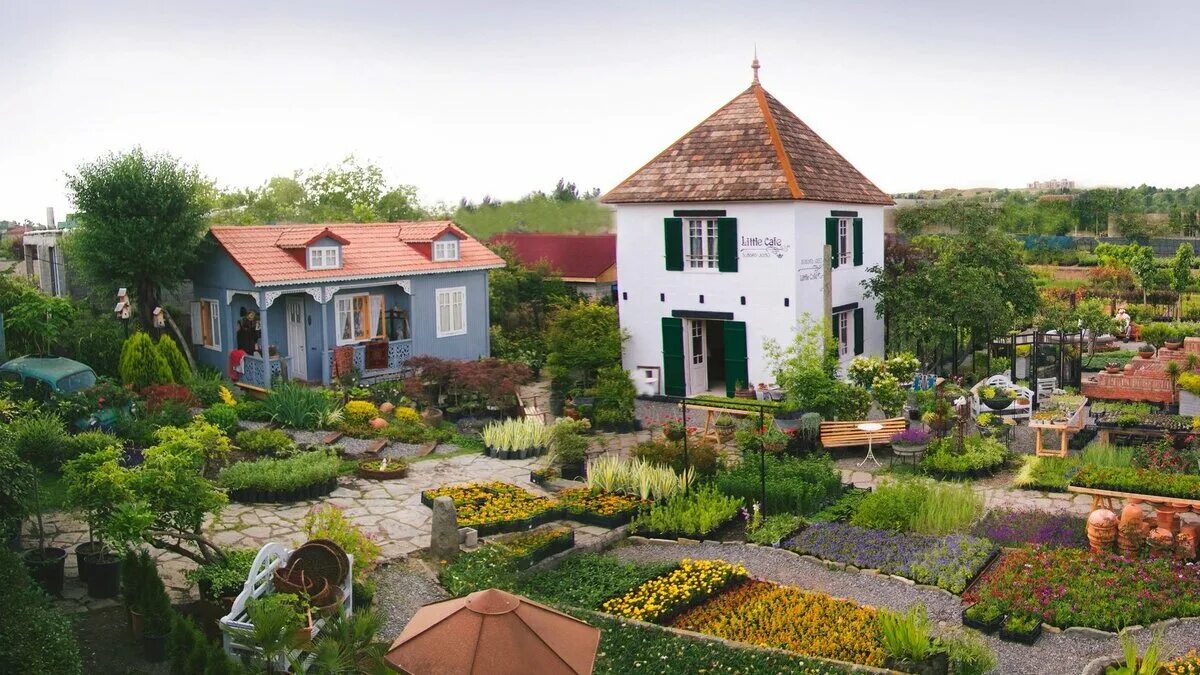 Gardenia shevardnadze тбилиси квартал лоткини фото Путеводитель. Грузия. Нетуристический Тбилиси, который вы еще не видели Путешест