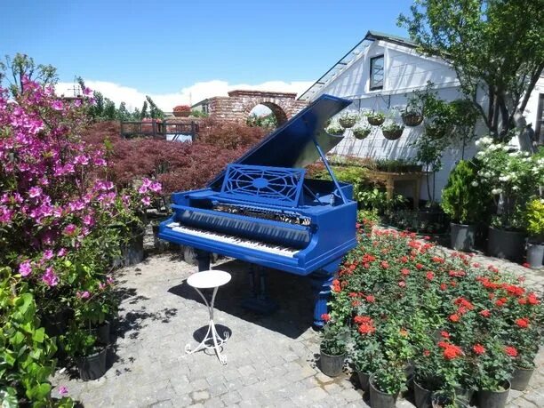 Gardenia shevardnadze тбилиси квартал лоткини фото Shevardnadze Gardenia, Tbilisi, Georgia - by Georgia Pictures. Blue piano. View 