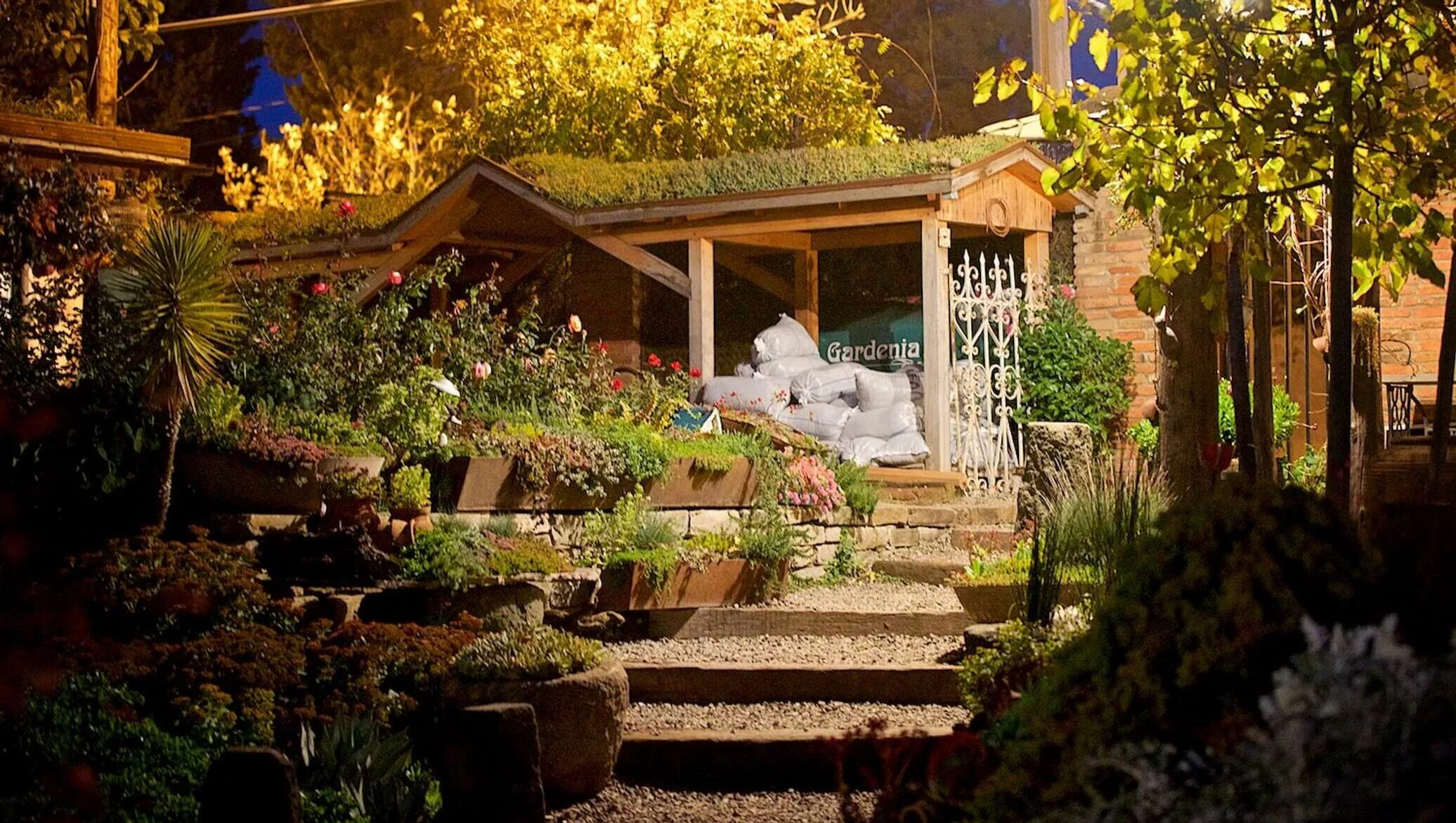 Gardenia shevardnadze тбилиси квартал лоткини фото Пожарные спасли сад "Гардения" в Тбилиси