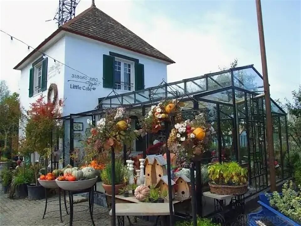 Gardenia shevardnadze тбилиси квартал лоткини фото Tbilisi Gardenia Shevardnadze - YouTube