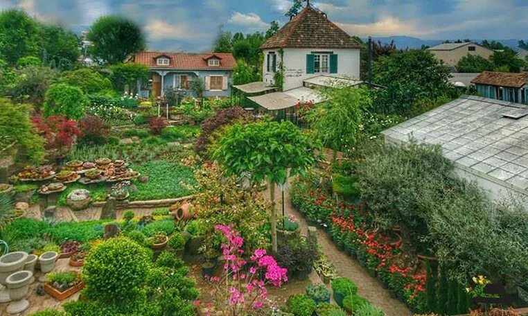 Gardenia shevardnadze тбилиси квартал лоткини фото Гардения шеварднадзе тбилиси 57 фото Ast-Ohota.ru