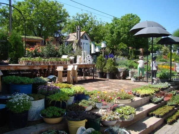 Gardenia shevardnadze тбилиси квартал лоткини фото Виды Грузии - Фотография 7 из 12 ВКонтакте