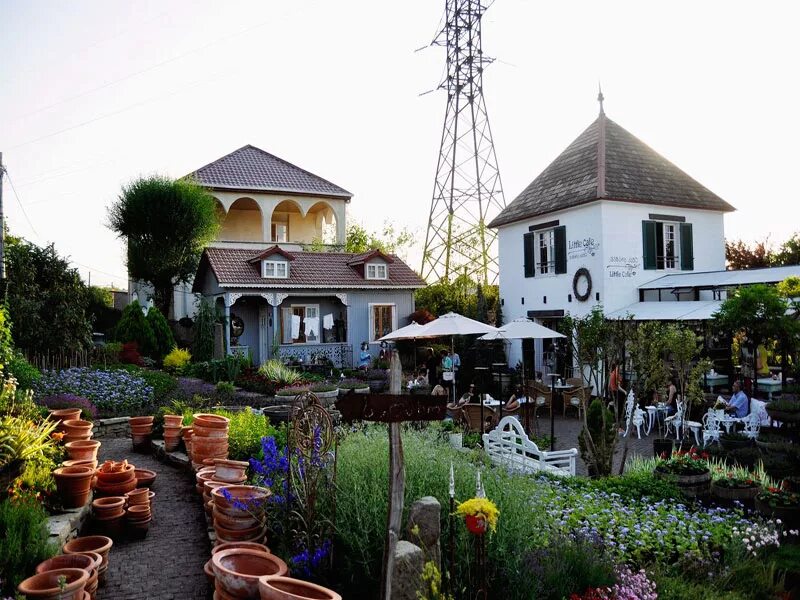 Gardenia shevardnadze тбилиси квартал лоткини фото Гардения шеварднадзе тбилиси 57 фото Ast-Ohota.ru