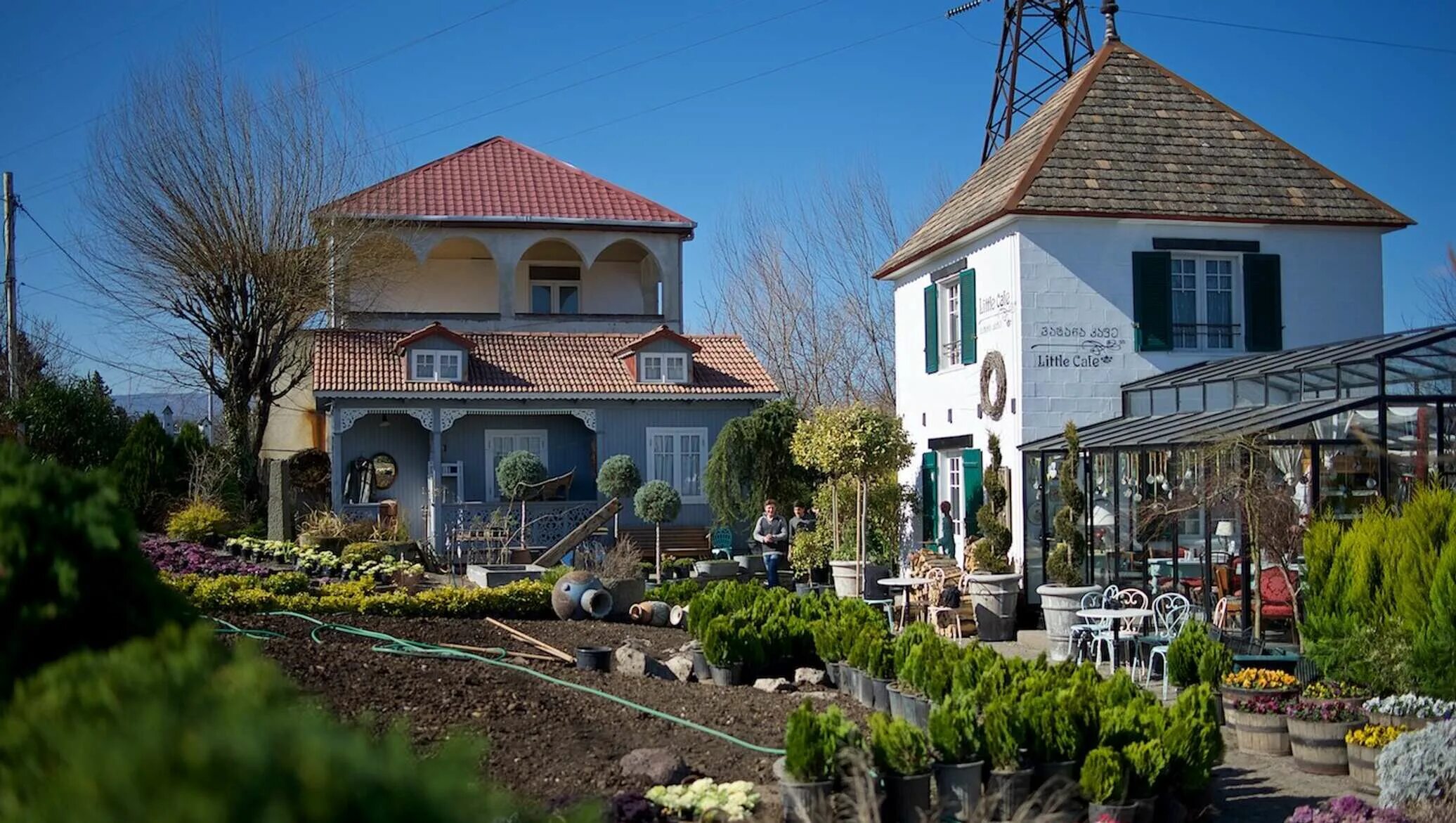 Gardenia shevardnadze тбилиси квартал лоткини фото Экскурсионный тур "Камерный Тбилиси и его окрестности"