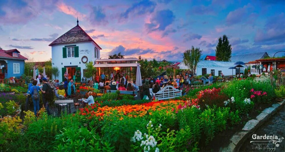 Gardenia shevardnadze тбилиси квартал лоткини фото Travel RSP - City of contrasts - Tbilisi