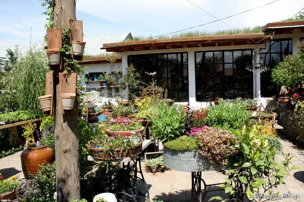 Gardenia shevardnadze тбилиси квартал лоткини фото Гардения шеварднадзе тбилиси 57 фото Ast-Ohota.ru