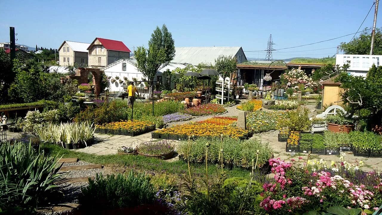 Gardenia shevardnadze тбилиси квартал лоткини фото Гардения шеварднадзе тбилиси 57 фото Ast-Ohota.ru