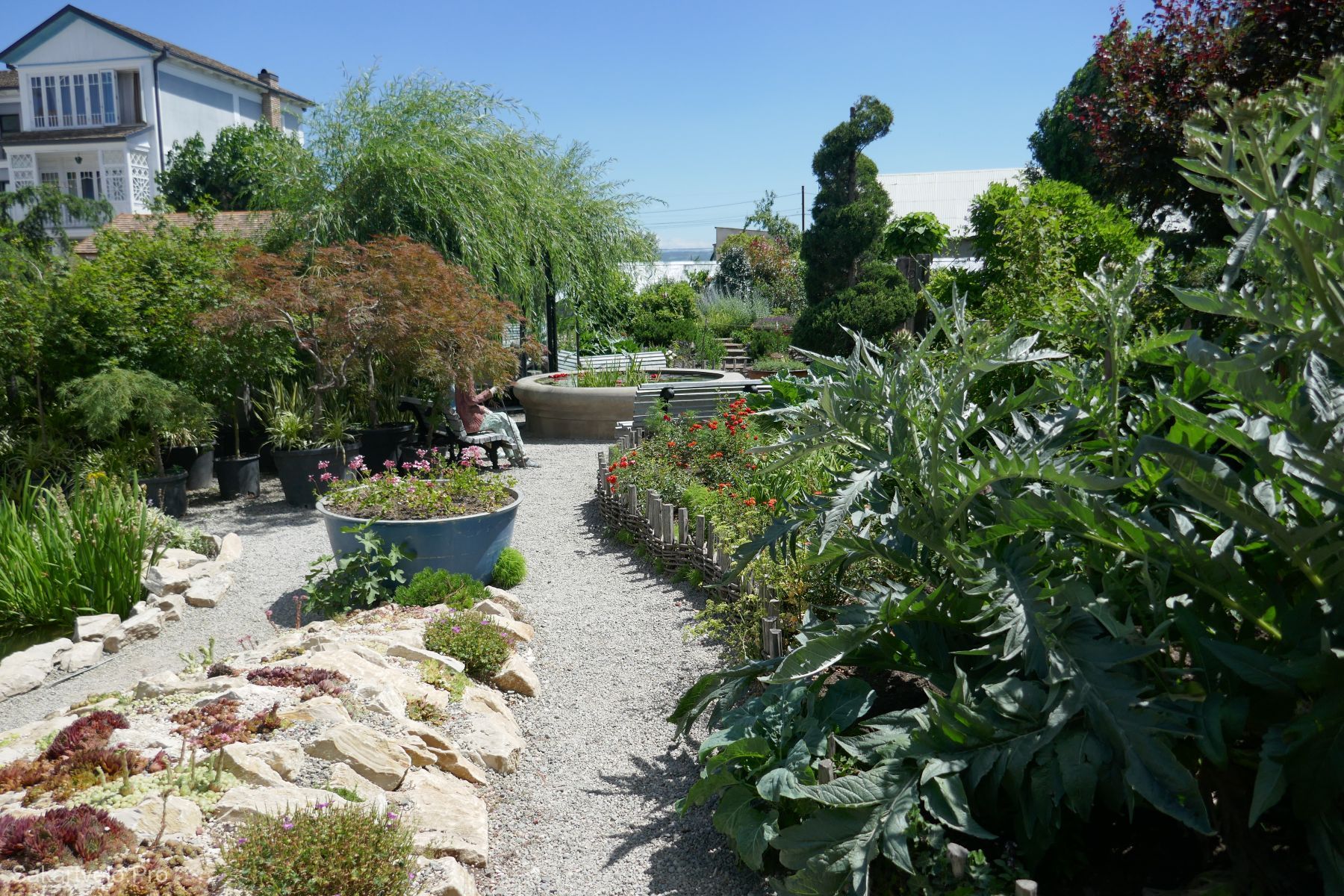 Gardenia shevardnadze тбилиси квартал лоткини фото Gardenia garden by Zurab Shevardnadze in Tbilisi - Notes about Georgia