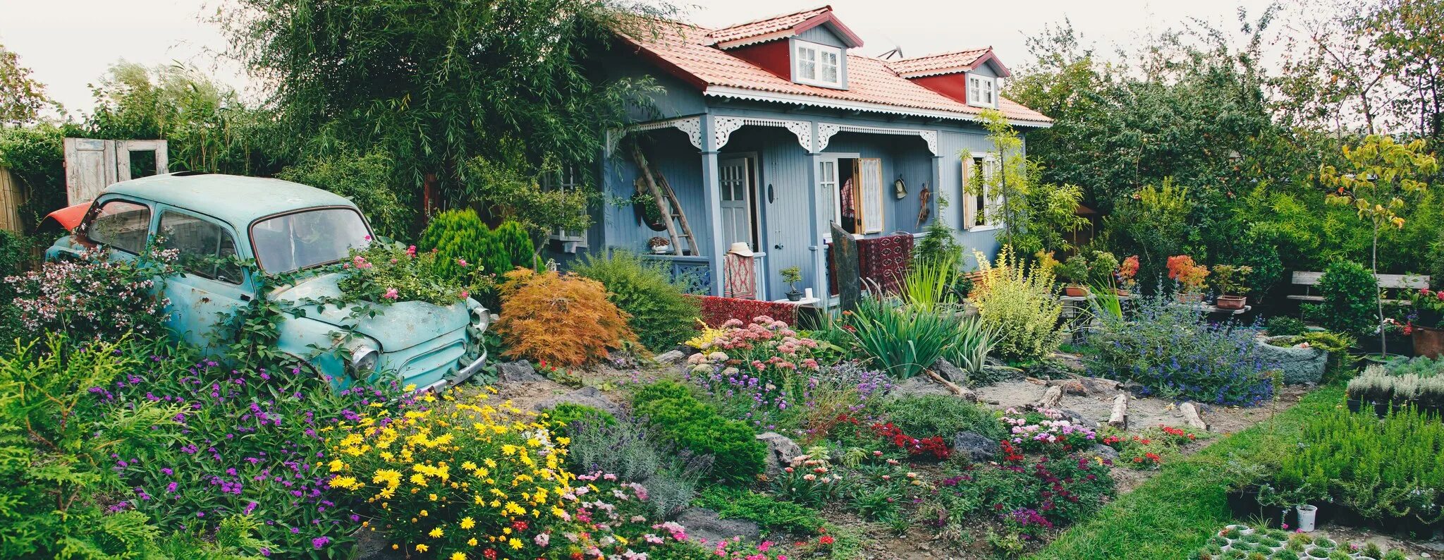 Gardenia shevardnadze тбилиси квартал лоткини фото Почему в Грузии можно ходить в ресторан, как на концерт - Friend in Georgia
