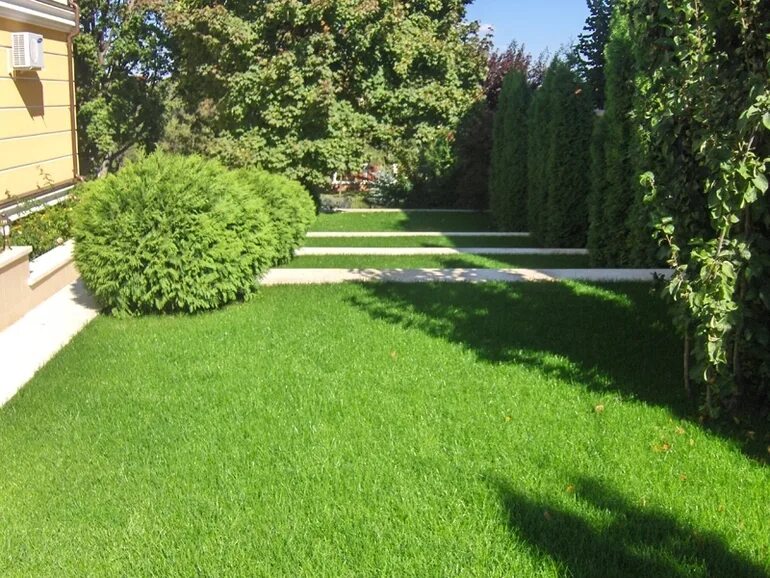 Gazon восточная ул 3а фото Кто-нибудь сажал газон из белого клевера? - 47 ответов форум Babyblog