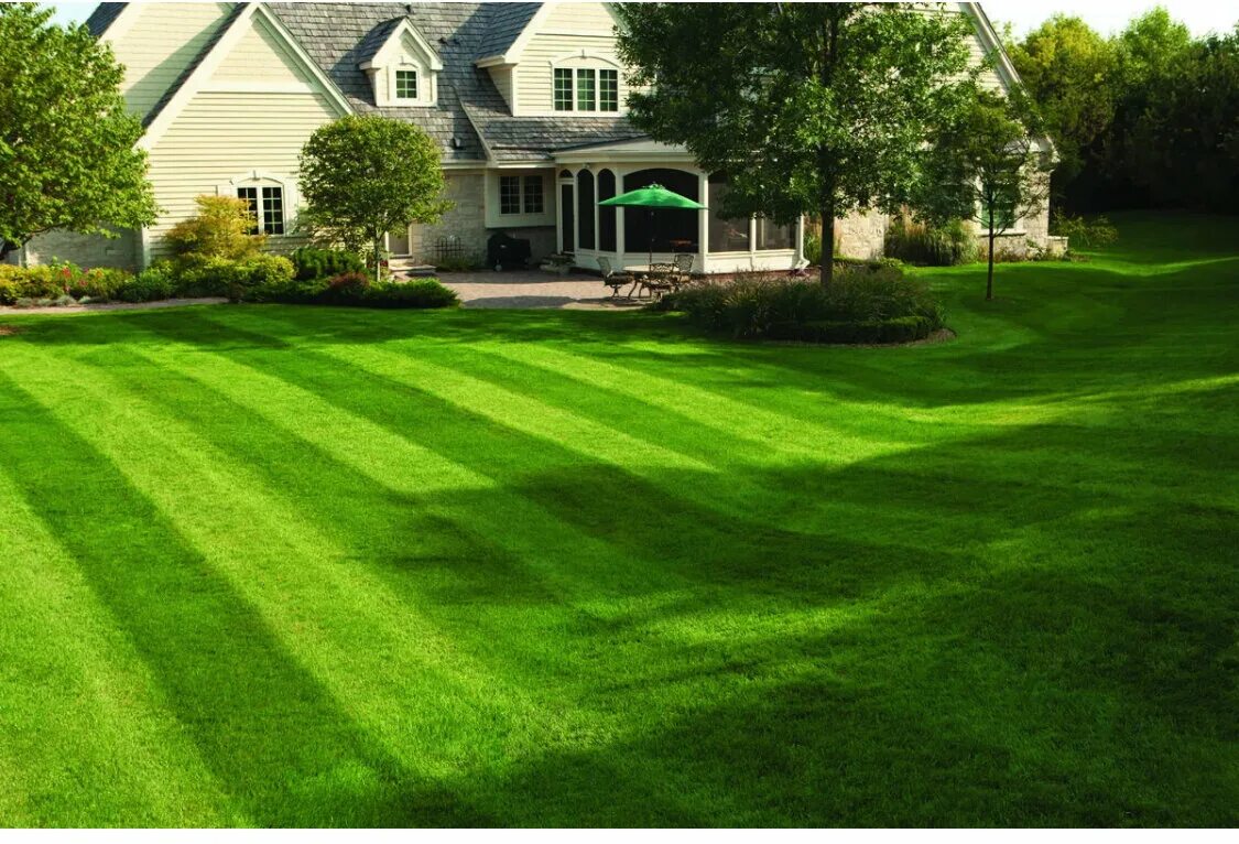 Gazon восточная ул 3а фото landscape's design's studio's Ozelenenie 34 in specifics, Kommunisticheskaya Str