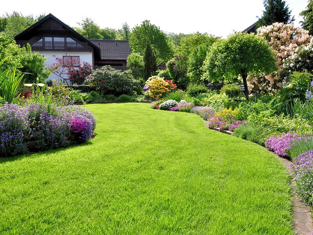 Gazon восточная ул 3а фото Газон для дачи: купить в Москве недорогой газон для дачи по цене от компании Мир