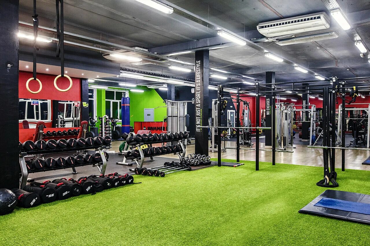 Geekspace fitness просп строителей 117 барнаул фото Фитнес-клуб Hammer Fit ®, фитнес-клуб, Россия, Барнаул, просп. Строителей, 117, 