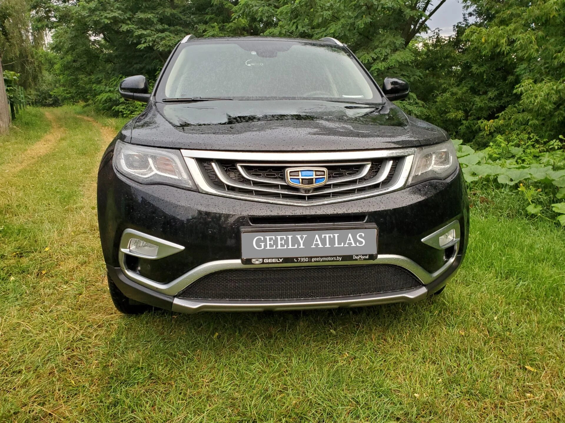 Geely atlas решетка радиатора тюнинг Сетка для защиты радиатора - ВАНДАЛ - Geely Atlas (1G), 1,8 л, 2020 года стайлин