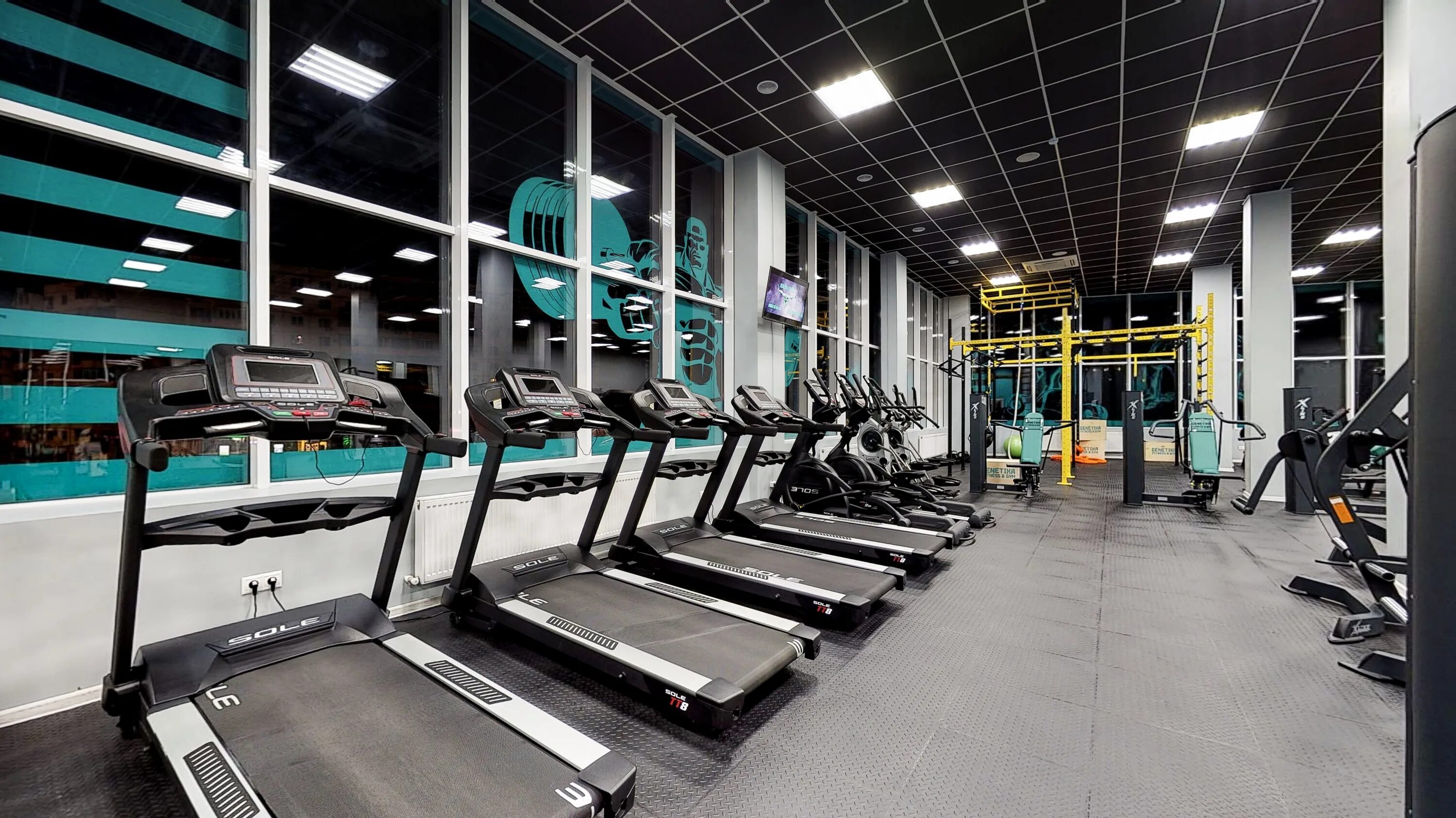 Genetika ул горького 3 территория цемдолина фото Genetika - новости фитнес-клуба в Новороссийске, улица Горького, 3 - Яндекс Карт