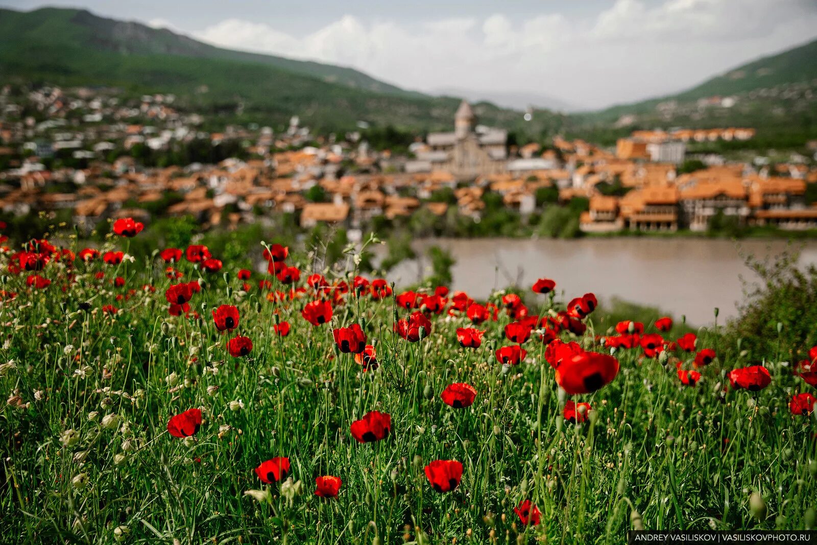 Georgia красная ул 17 фото Грузия не отпускает нас в Армению: сюрпризы от Военно-Грузинской дороги и Мцхета