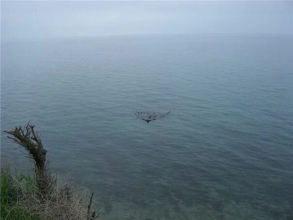 Georgia красная ул 17 фото 27 февраля 1943 года канонерская лодка "Красная Грузия" во время доставки подкре