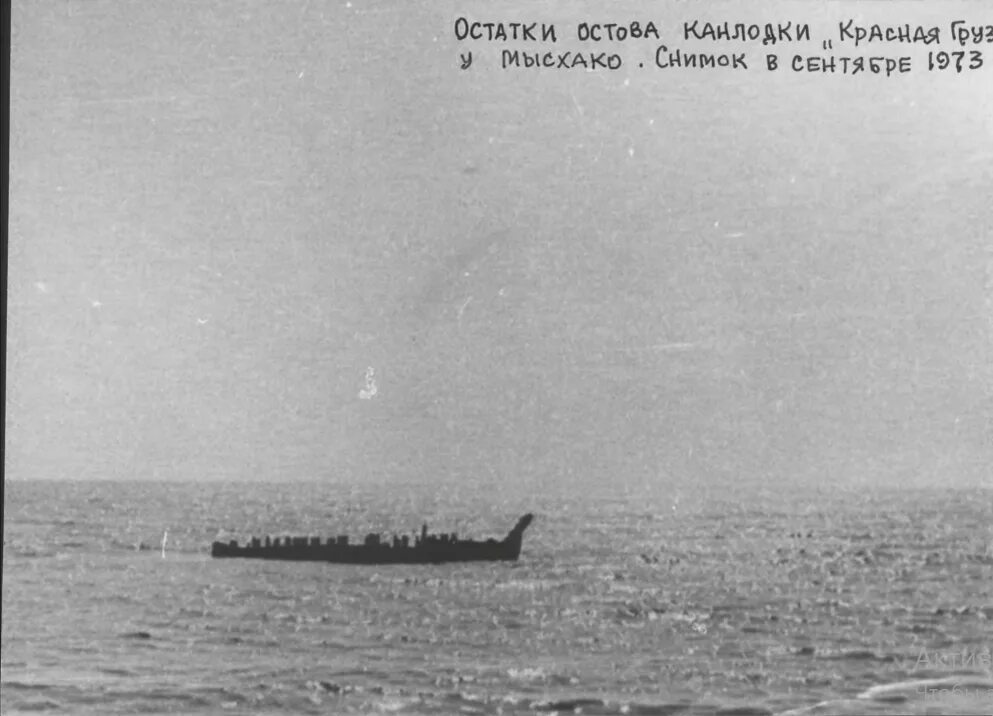 Georgia красная ул 17 фото 80 ЛЕТ НАЗАД. ВЕЛИКАЯ ОТЕЧЕСТВЕННАЯ ВОЙНА. ГЕРОИЧЕСКАЯ ОБОРОНА "МАЛОЙ ЗЕМЛИ".ФЕВ