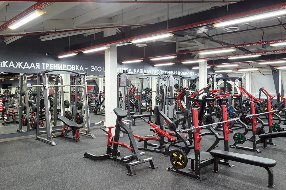 Geosport севастопольская ул 2 корп 3 фото Фитнес клуб "GEO Sport" г. Тюмень - тренажеры Aerofit Professional в РФ aerofit-