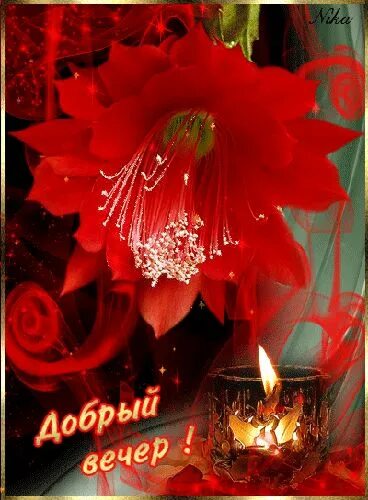 Gif картинка добрый вечер КАРТИНКА ДОБРЫЙ ВЕЧЕР - Bing images Good evening greetings, Good night gif, Even