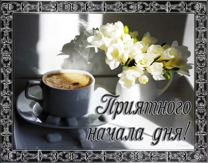 Gif картинка хорошего дня Можно противостать любой инфекции - это твердая... Интересный контент в группе В