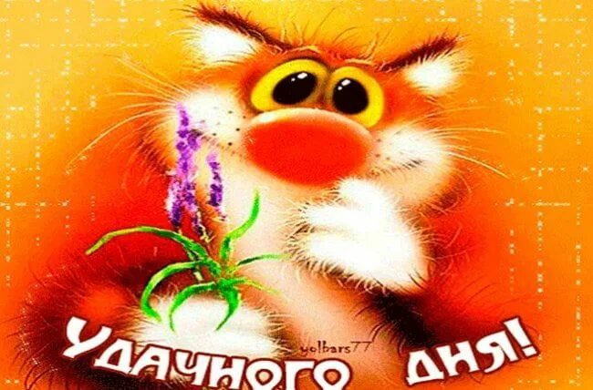 Gif картинка хорошего дня Картинки удачного, хорошего дня и настроения (52 открытки) Poster, Good morning,