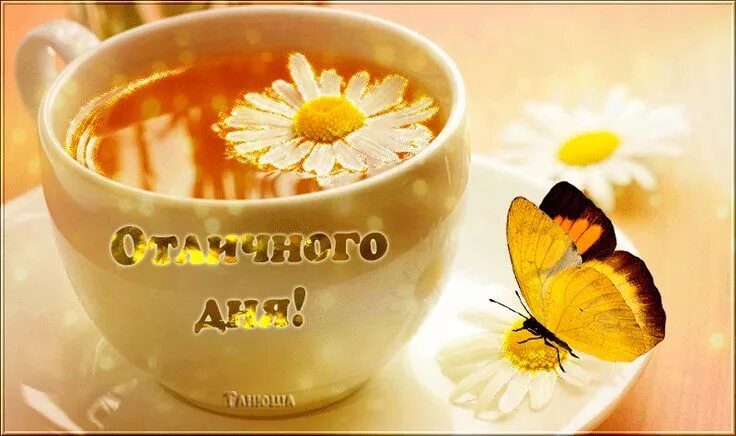 Gif картинка хорошего дня Гифка Отличного дня ! Доброе утро, Обет, Клятвы