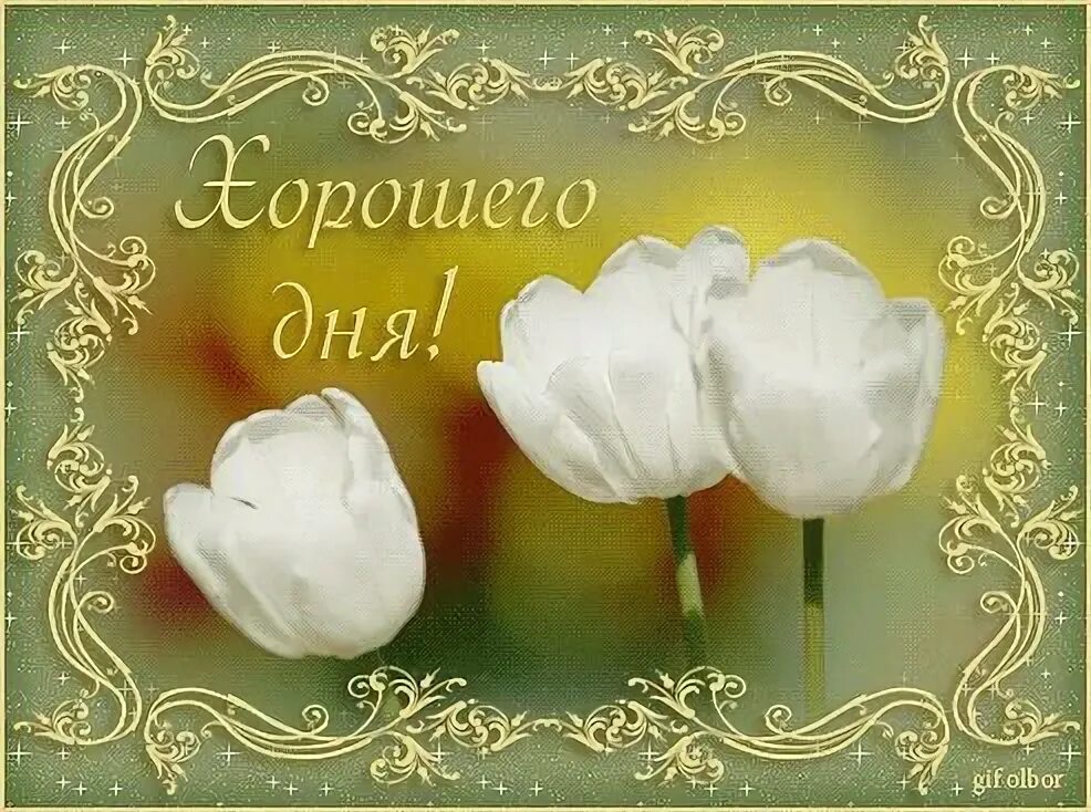 Gif картинка хорошего дня Пин от пользователя Маргарита Решта на доске Доброго дня Открытки, Поздравительн