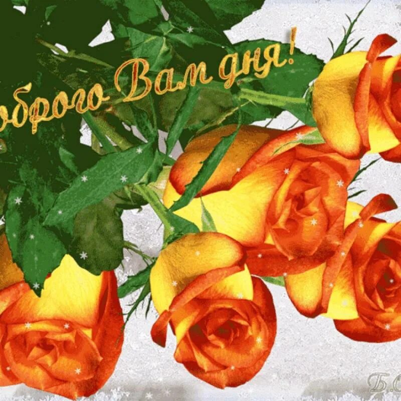 Gif картинка хорошего доброго дня Ответы Mail.ru: Что означает выражение "человек-ананас" кто это и почему именно 