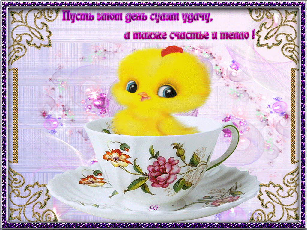 Gif картинка хорошего доброго дня Красивые открытки с пожеланиями отличного дня