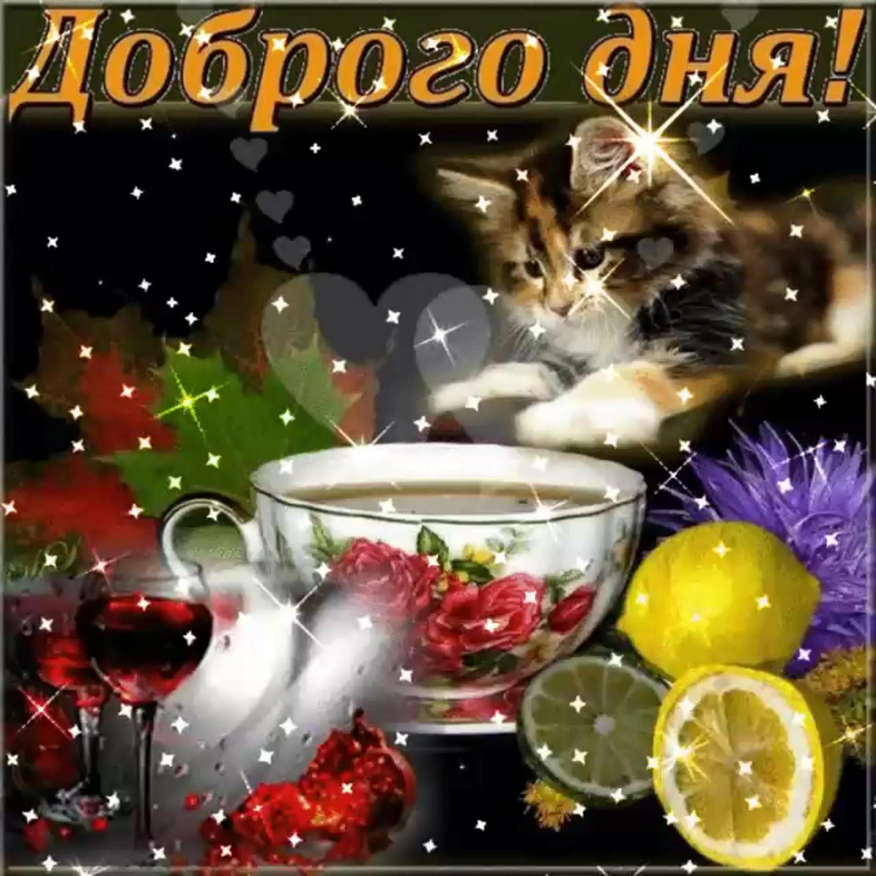 Gif картинка хорошего доброго дня Гифка добрый день новые: найдено 89 изображений