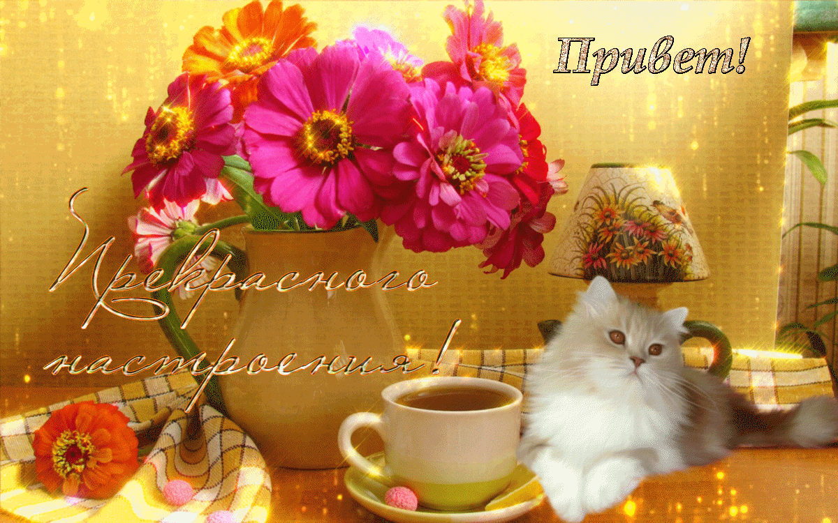 Gif картинка хорошего доброго дня Привет! Прекрасного Настроения! Удачи! Открытка (плейкаст)