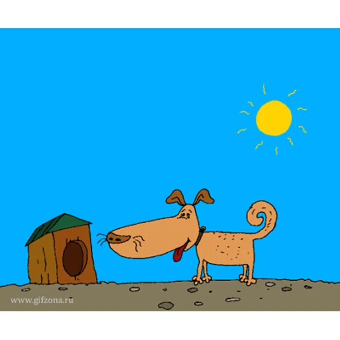 Gif картинка прикольная с днем рождения ШПИЦЫ всех стран объединяйтесь!!! Том -V (Продолжение) - обсуждение на форуме e1