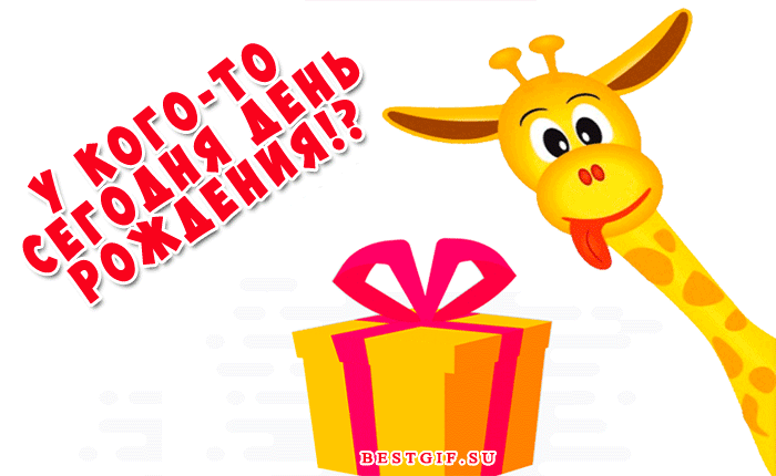 Gif картинка прикольная с днем рождения Забавная гифка с Днем рождения - анимационные картинки и открытки BestGif С днем