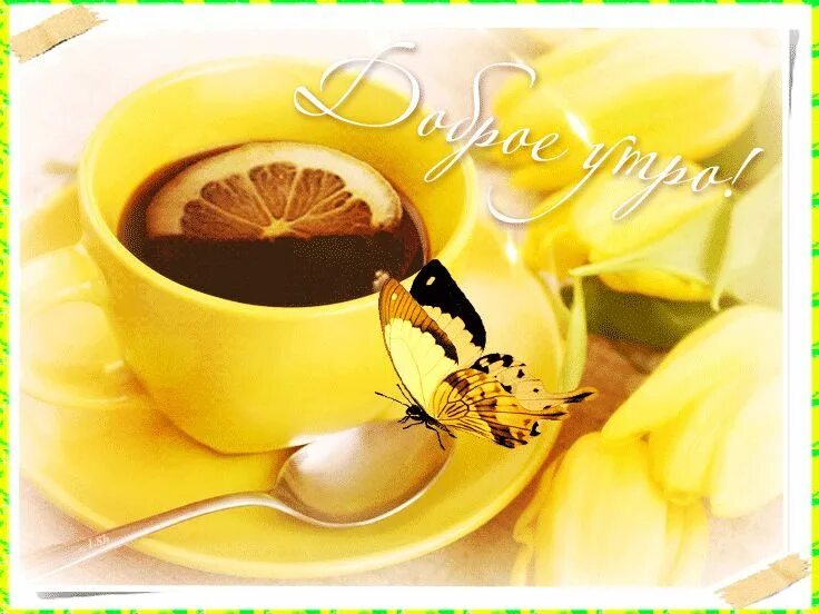 Gif картинки доброе утро хорошего дня Пин на доске Доброе утро Доброе утро, Гифу, Гифки