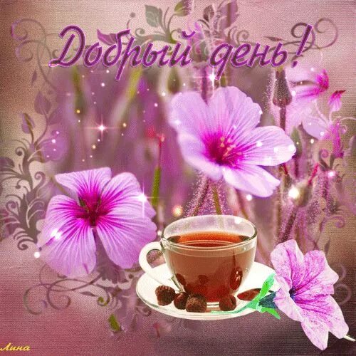 Gif картинки доброе утро хорошего дня Коллекция авторских товаров Эхо леса - Наталья ( Счастливые картинки, Милые откр