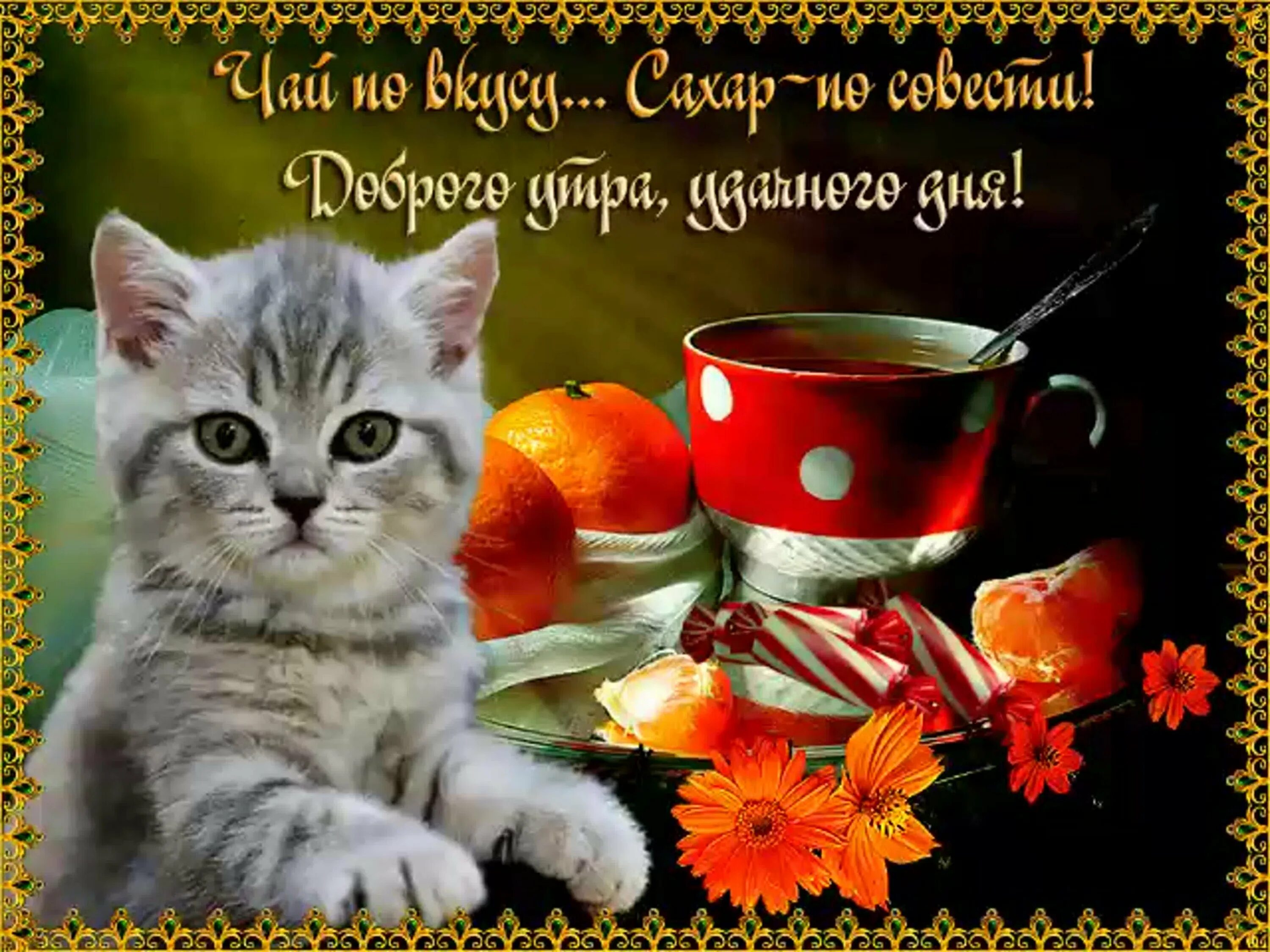 Gif картинки доброе утро хорошего дня Гиф доброе утро удачного дня - Доброе Утро Gif. fotoman.name