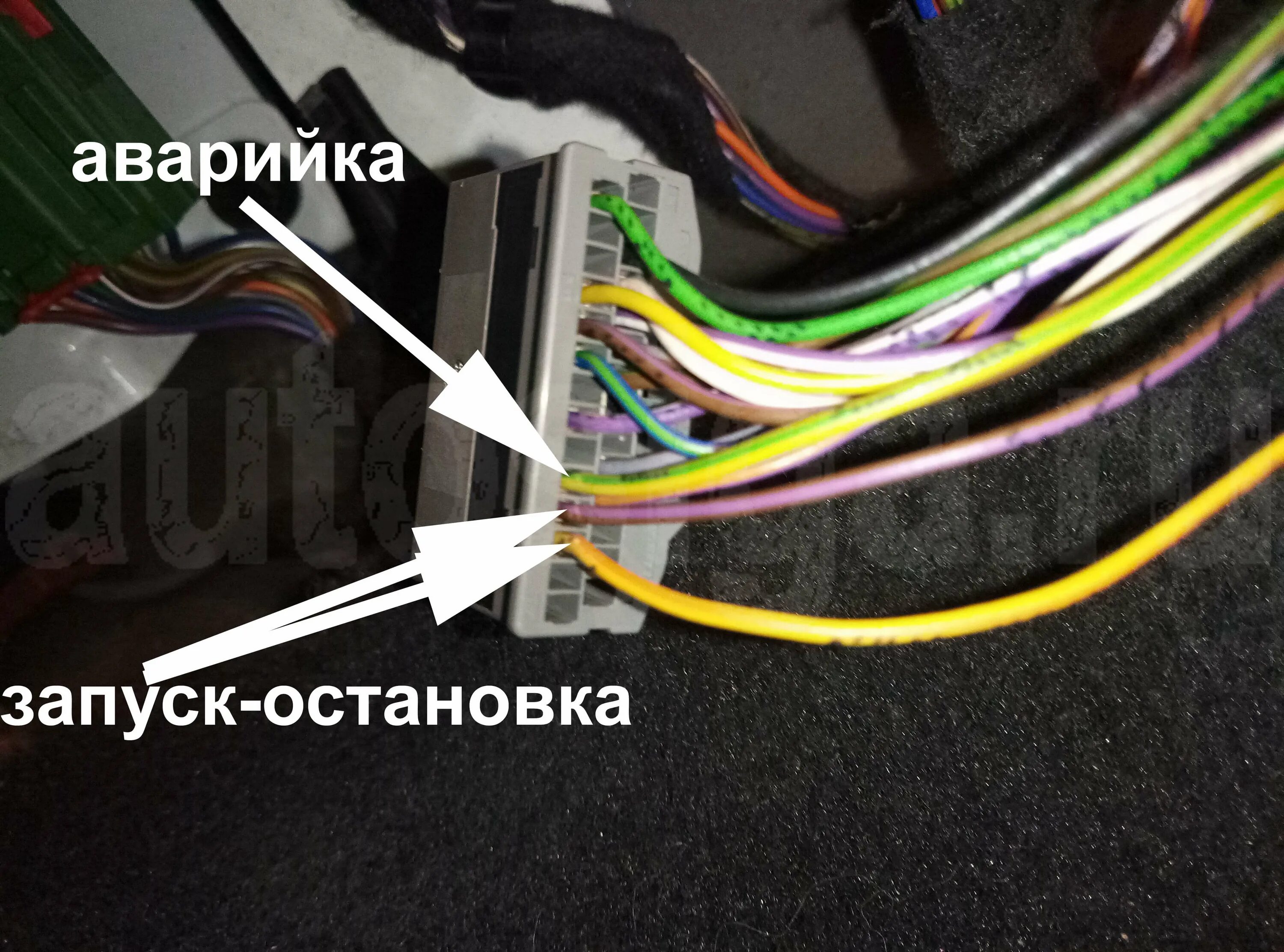 Glk 2009 года точки подключения Точки подключения сигнализации на Range Rover Evoque 2012