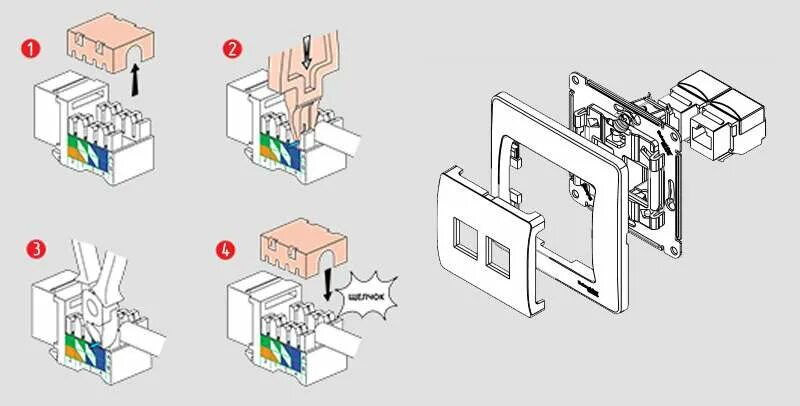 Glossa розетка схема подключения Интернет розетка. Схема подключения.