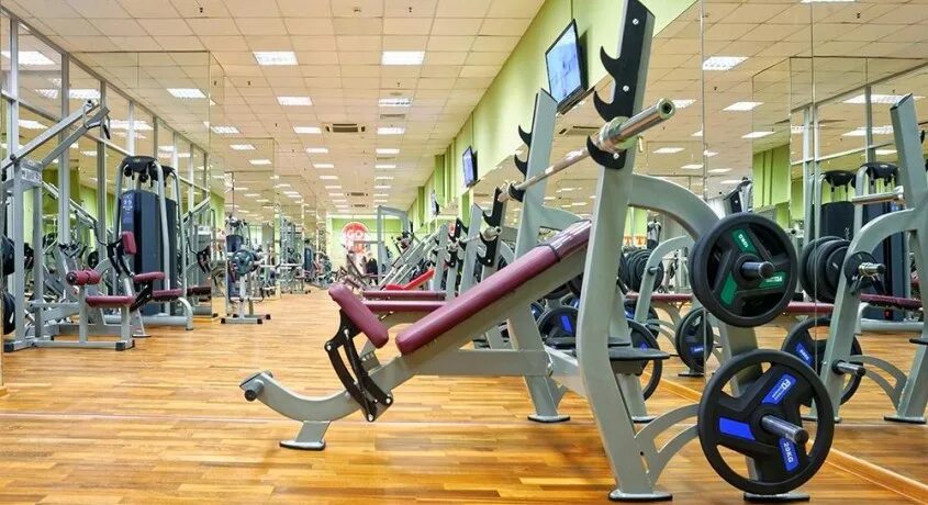 Go fit ул максима горького 250 фото Велс - Фитнес-клуб во Владимире на СКИДКОМ.РФ