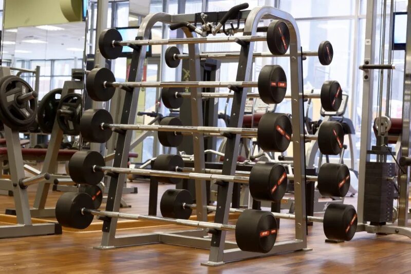 Go fit ул максима горького 250 фото сеть стандарт-фитнес клубов "GO FIT" Группа компаний "Электроника"