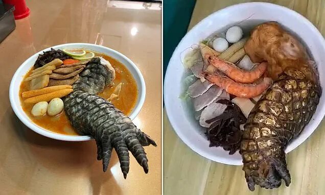 Godzilla ramen московская ул 40 фото Godzilla Ramen - featuring a crocodile leg that hangs off the edge of the bowl -