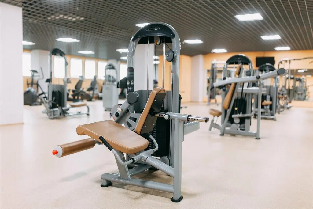 Gold fit ул героев россии 2 фото Gold Fit, фитнес-клуб, ул. Героев России, 2, Екатеринбург - Яндекс.Карты