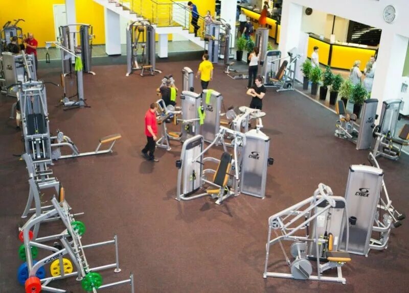 Gold fit ул героев россии 2 фото Фитнес-клуб "Gold Fit & Spa" в г. Краснодар: фото, отзывы, цены и услуги