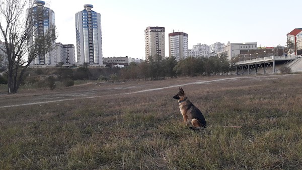 Goodzone ул героев десантников 2 фото Goodzone, +7 861 730-05-00, ТРЦ "Южный Пассаж", 3 этаж, ул. Героев Десантников, 