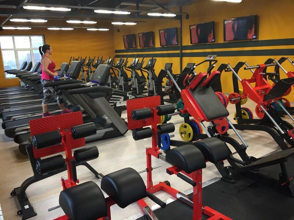 Gordey iron studio ул мира 4 фото Gordey Iron Studio, фитнес-клуб, ул. Мира, 4, Раменское, Россия - Яндекс.Карты