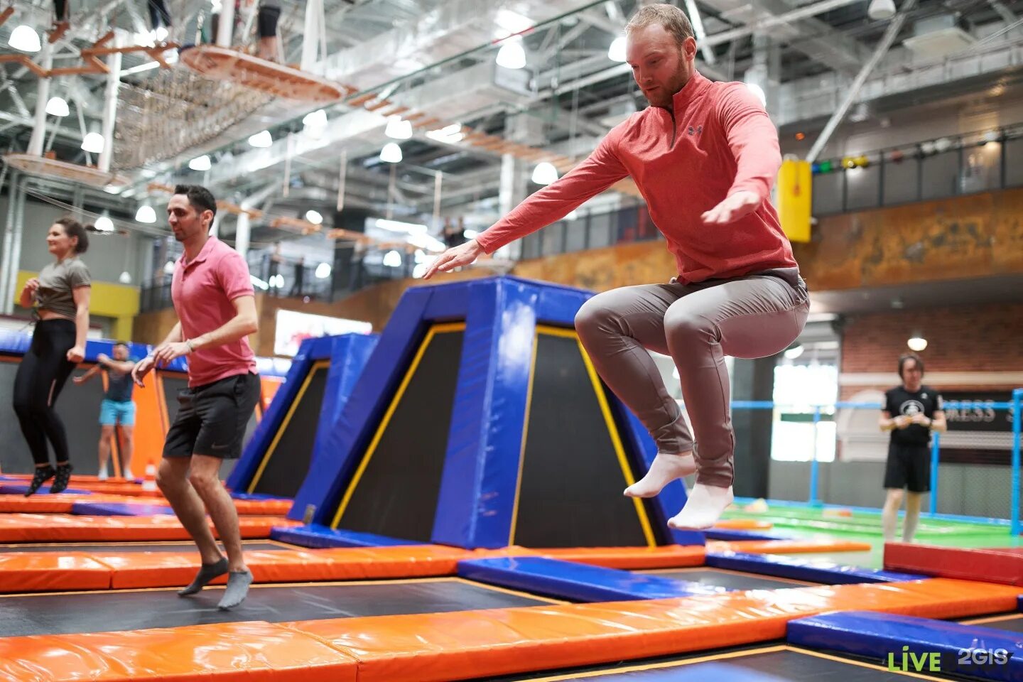 Gorillapark долгоозерная ул 14 корп 2 фото Парк горилл в Санкт-Петербурге - найдено в Peskokras